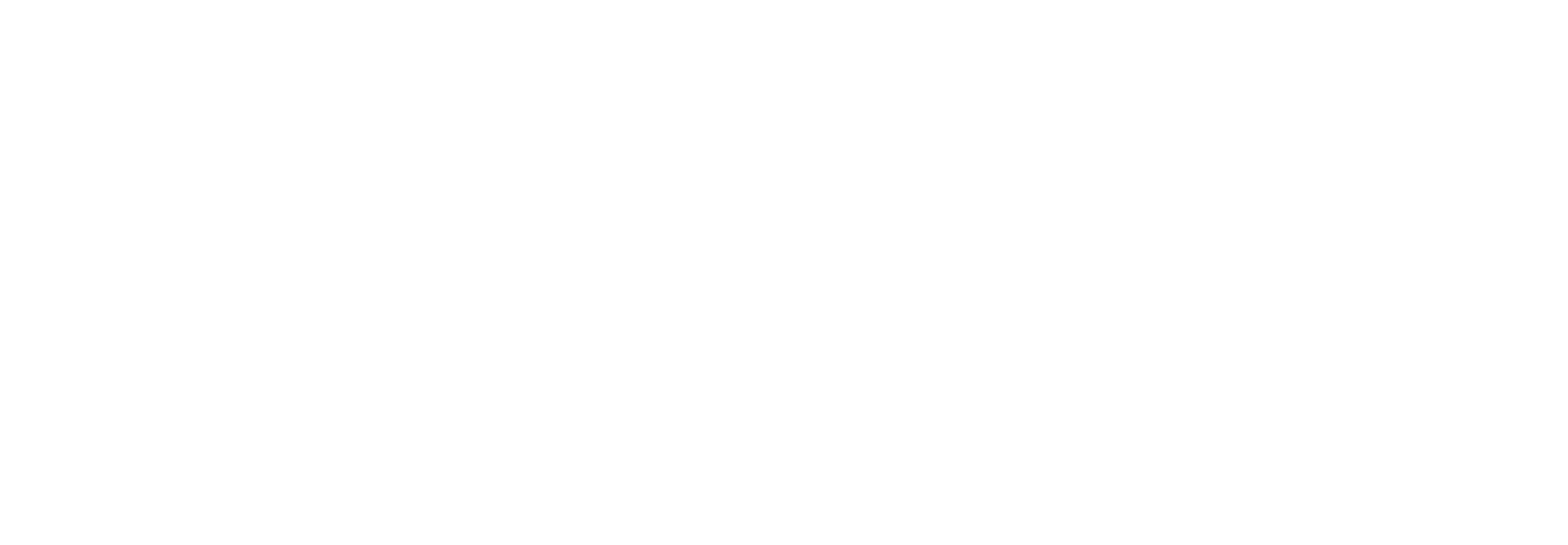 Ophir logo